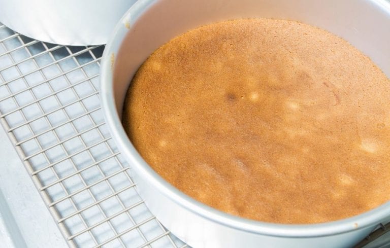 Cake in Pan