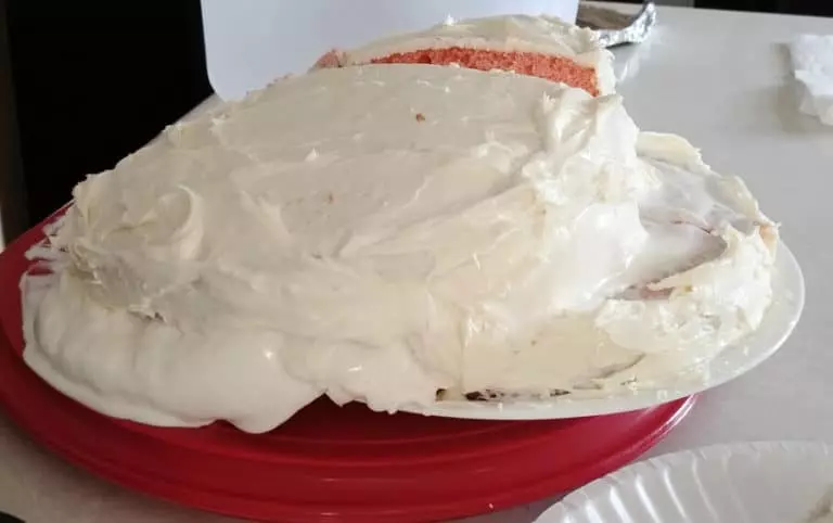 Cake Disaster