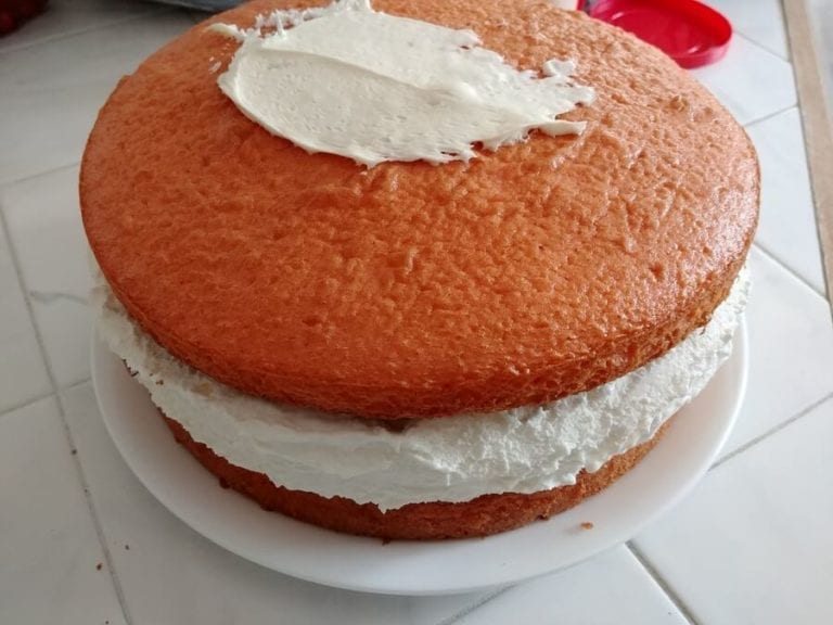 Ice Cream Cake in Process