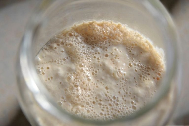 Sourdough Starter