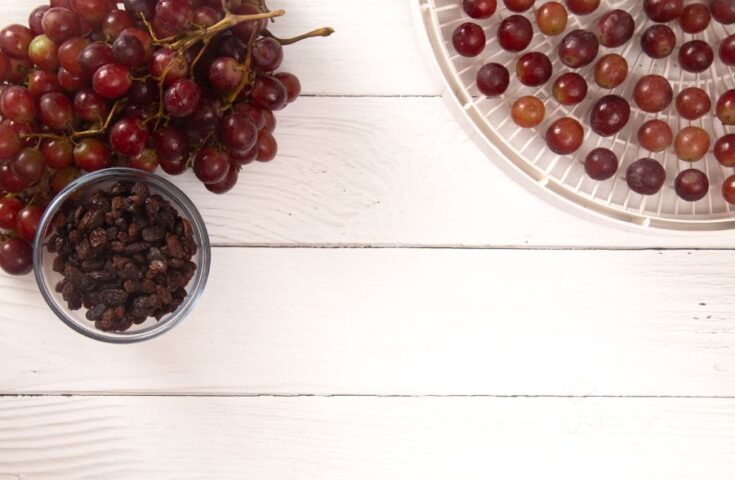 8 Creative Things to Do With Overripe Grapes - Baking Kneads, LLC