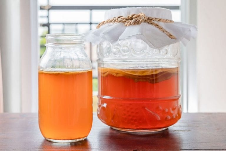 Kombucha