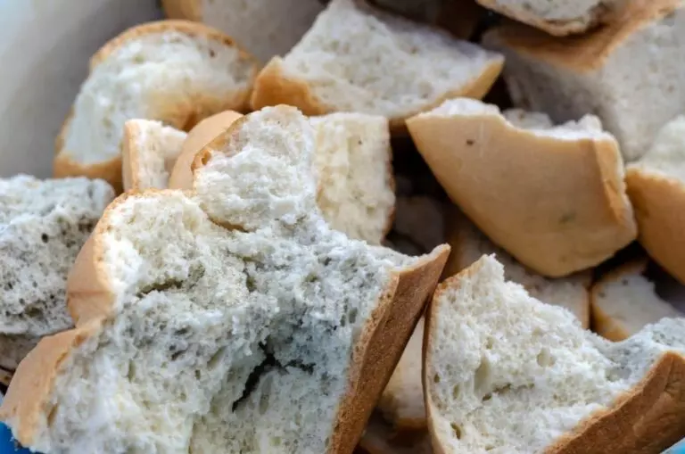 Slices of Moldy Wheat Bread