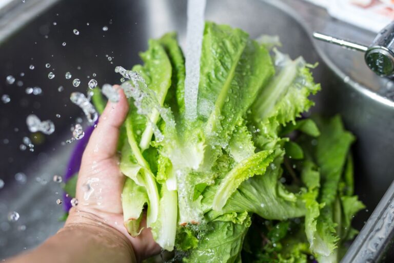Washing Lettuce Leaves in the Kitchen Sink