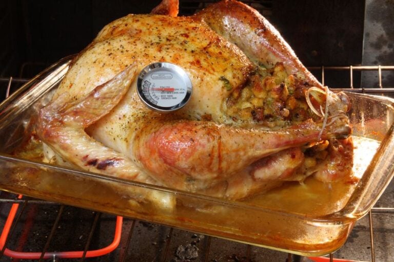 Roasted Turkey With Meat Thermometer in Oven
