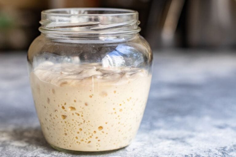 Sourdough Starter in Jar on Counter