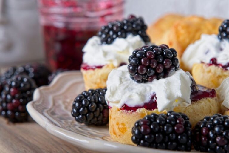 Homemade Scones Served With Fresh Blackberry Jam, Cream, and Blackberries