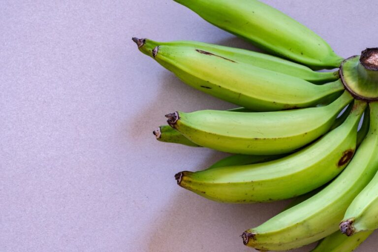 Bunch of Green Plantains