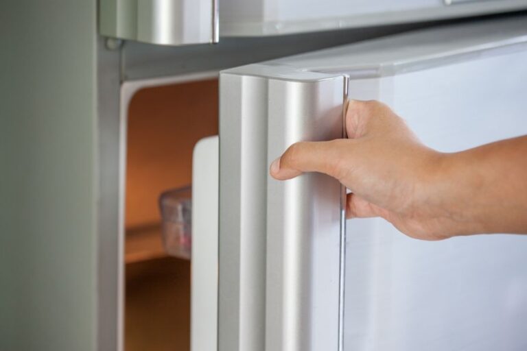 Opening the Freezer Door