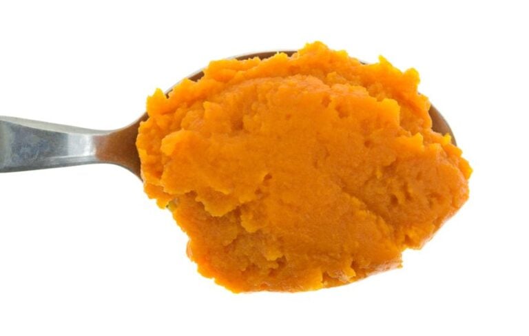 Canned Pumpkin Pie Filling on a Spoon