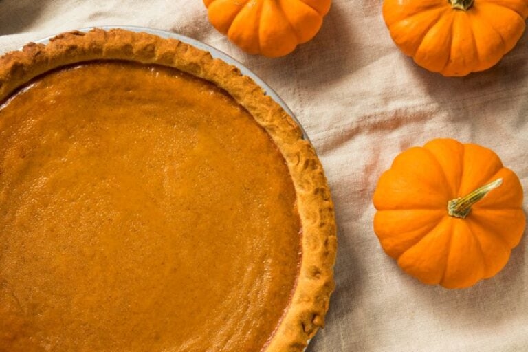 Fresh Baked Pumpkin Pie Surrounded by Mini Pumpkins