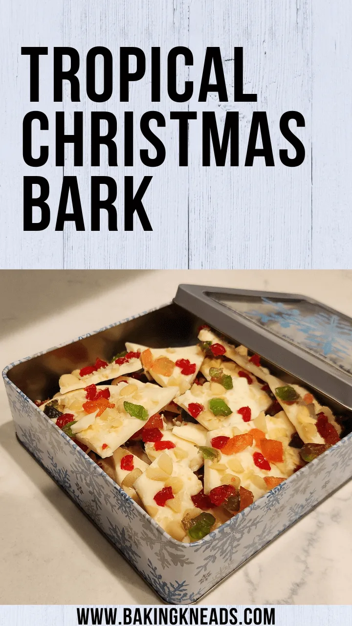 TropicalChristmasBarkPin