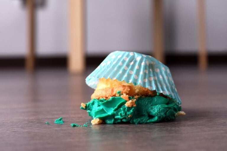 A Dropped Cupcake on the Floor